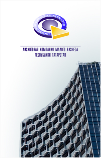 Лизинговая компания малого бизнеса Республики Татарстан